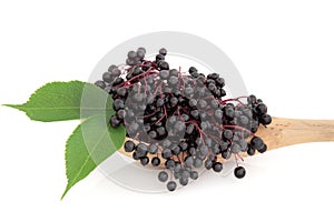 Elderberry Fruit