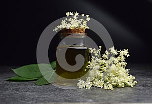 Elderberry syrup homemade bio organic photo