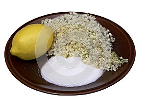 Elderflower Ingredients