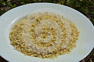 Elderflower on the plate for Elderflower cordialfor. Elderflower cordial is a soft drink made largely from a refined sugar and