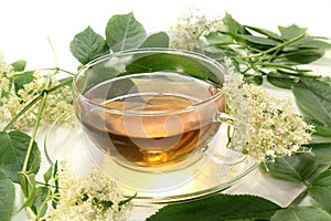 Elderflower tea photo