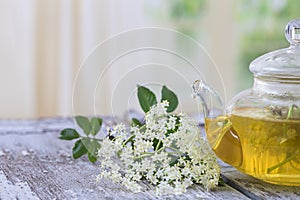Hot Elderflower tea, fresh elder flower in glass tea pot