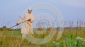 An elderly asian man in an embroidered skullcap and white traditional Clothes mows hand-scythe grass in a hayfield