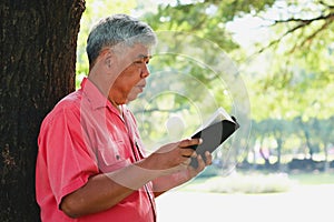 An elderly Asian man leans against a large tree reading a book in the garden.