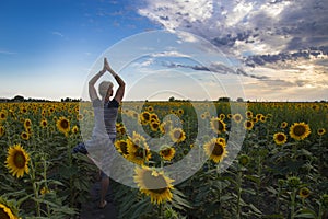 An elderly beautiful woman is engaged in yoga figures in the field of sunflower