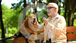 Elderly blind man stroking guide dog, sitting on bench, caring favorite pet