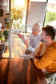 An elderly business woman showing a computer screen content to a young male colleague at the desk at workplace. Business, office,