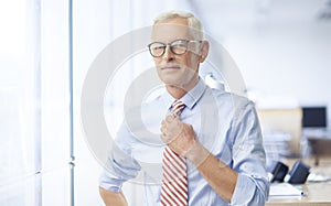 Elderly businessman portrait