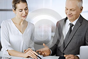 Elderly businessman and woman sitting and communicating in sunny office. Adult business people or lawyers working