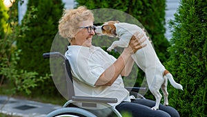 Elderly caucasian woman hugging a jack russell terrier dog while sitting in a wheelchair on a walk outdoors.