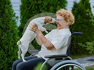 Elderly caucasian woman hugging a jack russell terrier dog while sitting in a wheelchair on a walk outdoors.