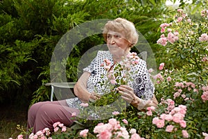 An elderly Caucasian woman is resting sitting in her own garden near a rose bush. The life of the elderly.