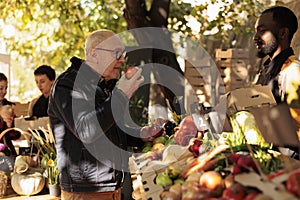 Elderly client smelling bio apples and standing near farmers food market