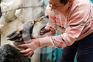 The elderly countrywoman plays with a dog. Smiling senior woman playing with dog in yard.