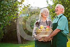 Elderly couple and apple basket.