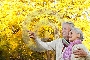 Elderly couple in a autumn park
