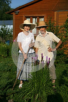The elderly couple at a bush of button snakeroot