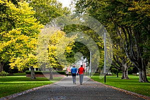 The elderly couple doing exercise together in the park in the morning. I