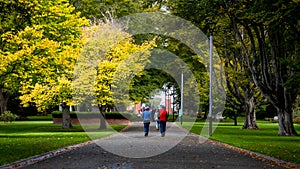 The elderly couple doing exercise together in the park in the morning. I