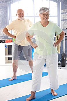 Elderly couple doing exercises