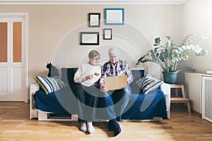 Elderly couple doing shoppings online on the sofa at home, looking at laptop screen and smiling