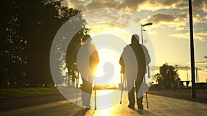 An elderly couple is engaged in Nordic walking in the park going into the sunset. A man and a woman walk with sticks to