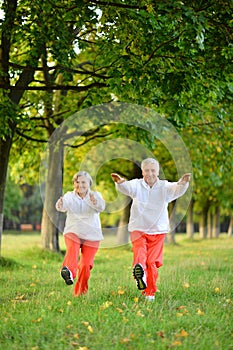 Elderly couple is engaged in sports in nature