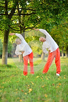 Elderly couple is engaged in sports in nature