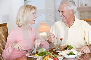 Elderly Couple Enjoying Healthy meal