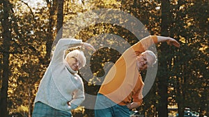 Elderly couple exercising in the park. Autumn nature and healthy lifestyle