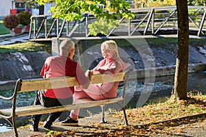 Elderly couple finding solace and joy as they rest on a park bench, engaged in heartfelt conversation, following a