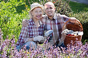 Elderly couple gardening in the backyard.