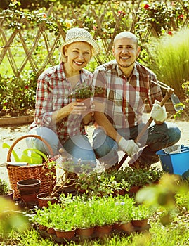 Elderly couple gardening in the backyard