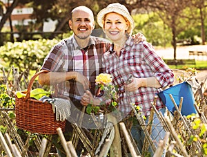 Elderly couple gardening in the backyard