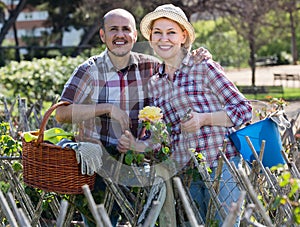 Elderly couple gardening in the backyard