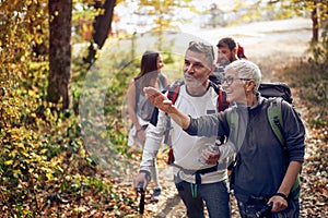 An elderly couple at hiking looking for the trail