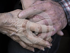 Elderly couple holding hands, expression of love and tenderness