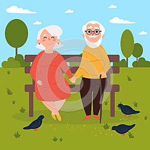 Elderly couple in love on bench outdoors. Pigeons