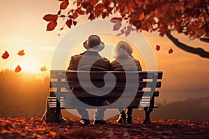 an elderly couple, a man and a woman, are sitting on a bench and enjoying the scenery, beautiful landscape at sunset, rear