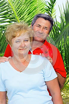 Elderly couple near the palm-tree.