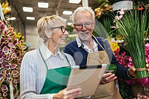 Elderly couple in own flower shop.