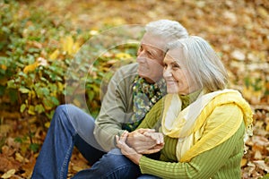 Elderly couple in the park