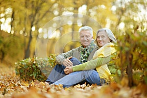 Elderly couple in the park