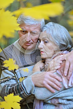 Elderly couple in the park