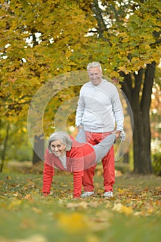 Elderly couple in the park