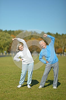 Elderly couple in the park