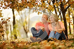 Elderly couple in the park