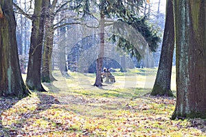 Elderly couple resting on a bench in the park