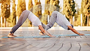 Elderly couple senior husband and wife practicing yoga outside standing in downward facing dog pose