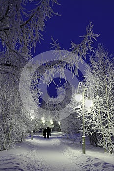 An elderly couple and trees in the frost in the evening in the city Park in winter